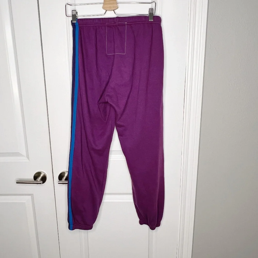 Aviator Nation Purple 5 stripe SweatPant Size M Stripe Pink Blue - Picture 2 of 9